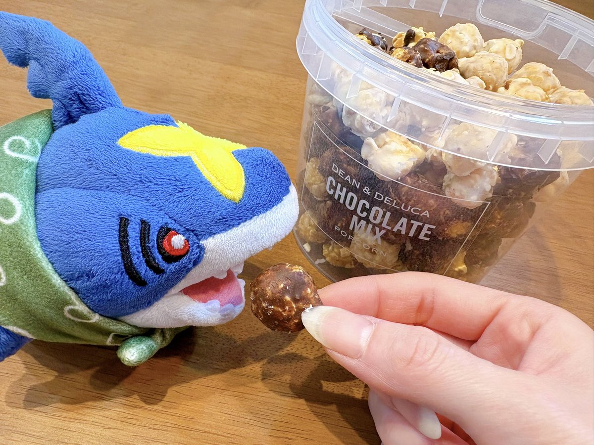 おでかけサメハダー🦈 tweet media