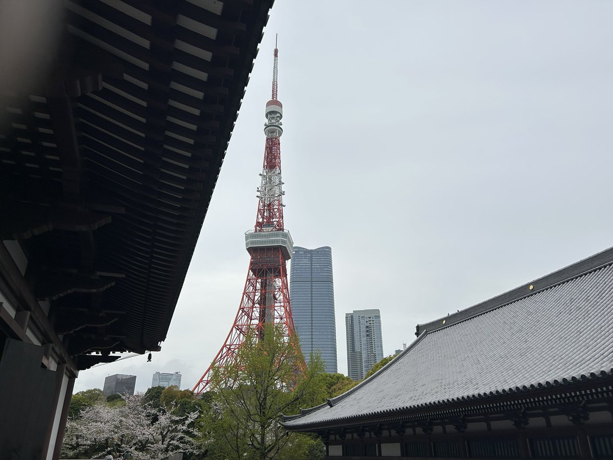 わだ楽天ROOM、アマアソやってます tweet media