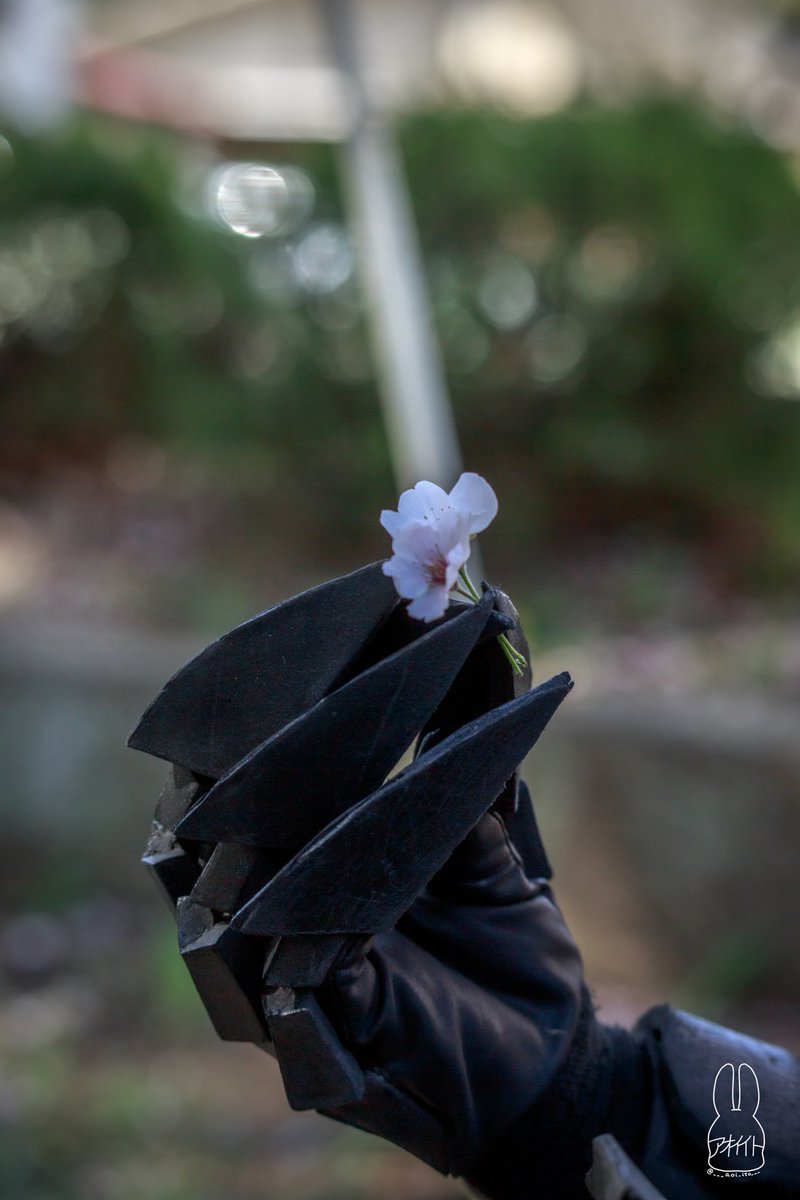 Ecthys🦂 tweet media