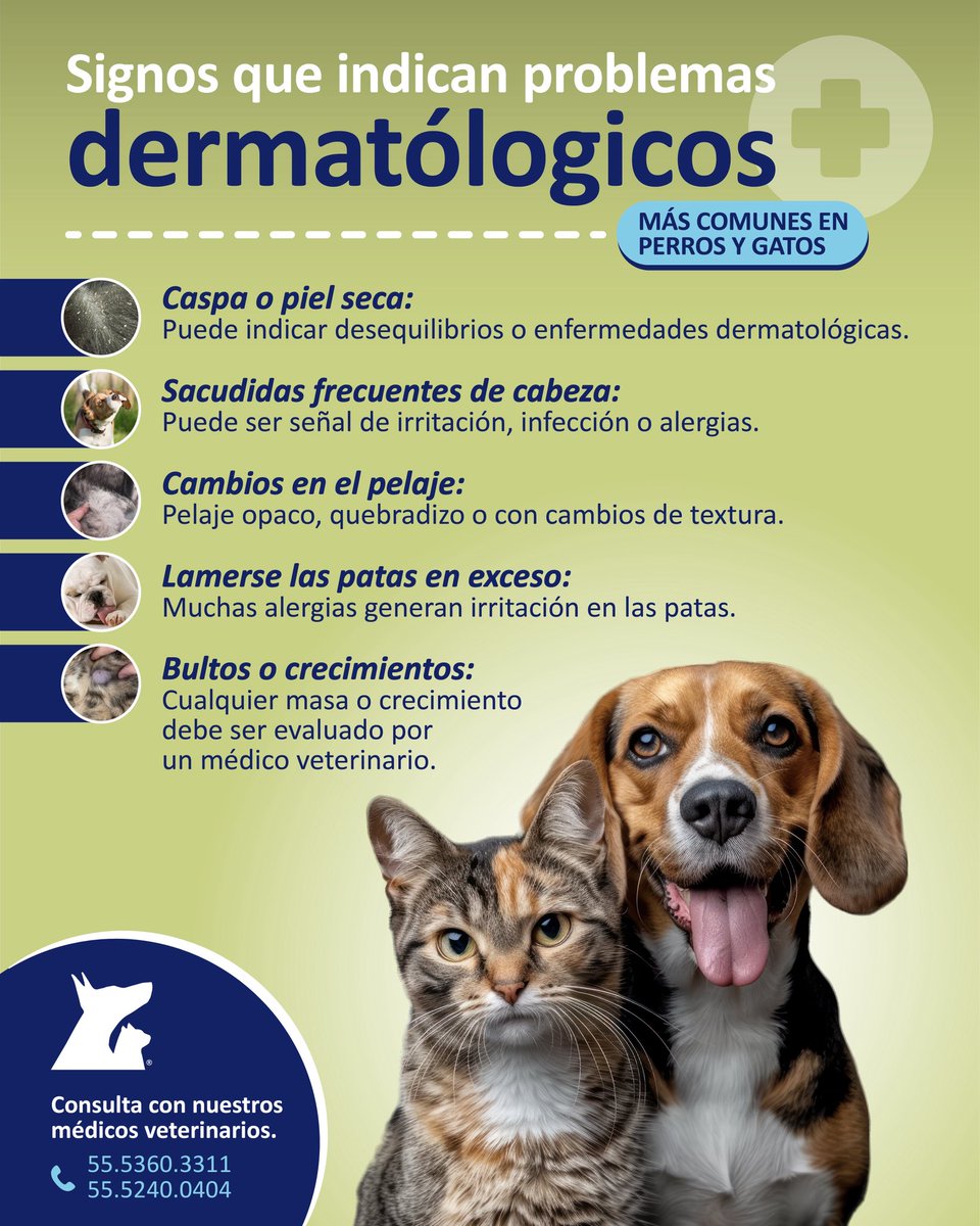 VeterinariadelBosque tweet media