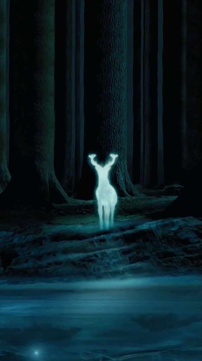 Acervo do Potter tweet media