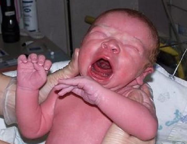 LifeNews.com tweet media