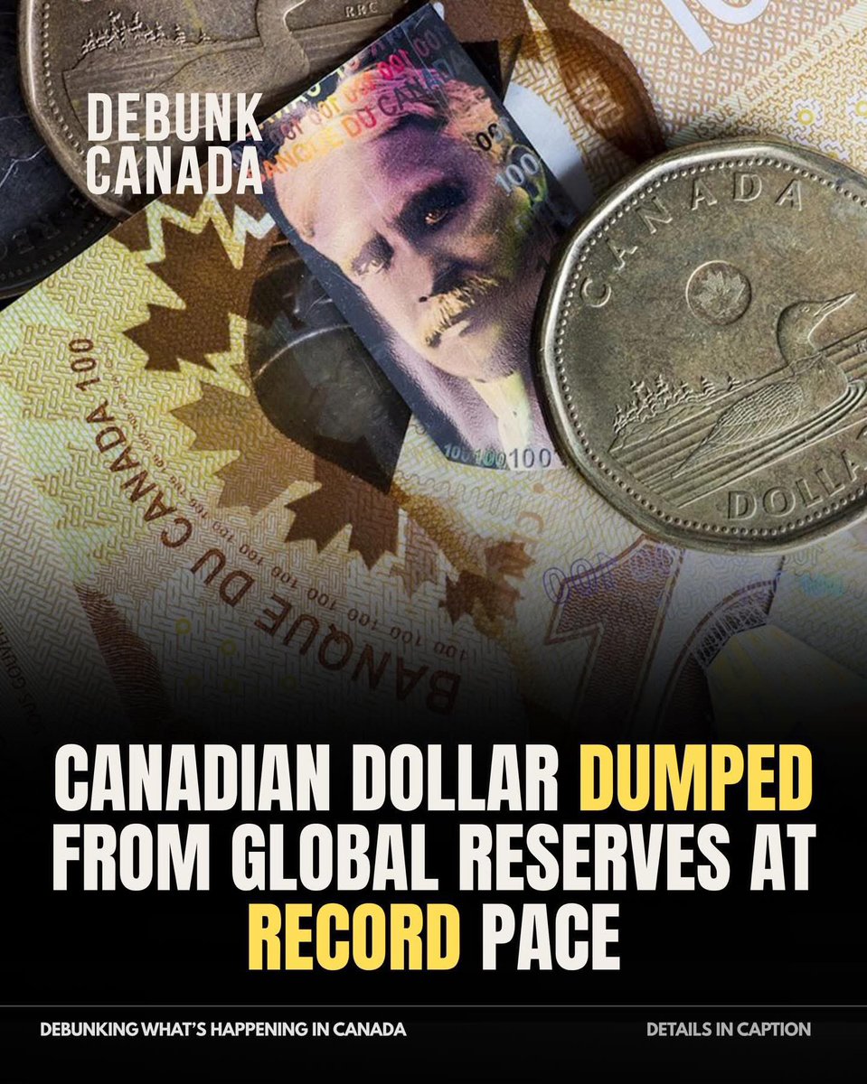 AC@SS56 🍎 tweet media