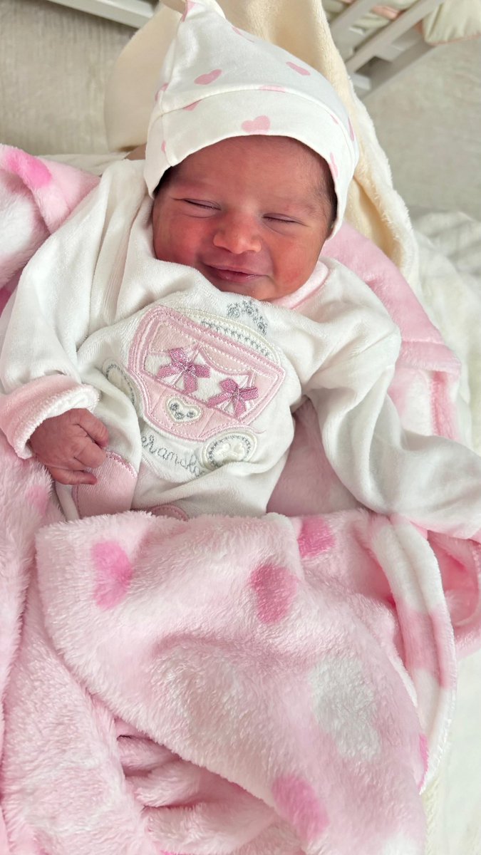 Lara 🕊️ 𓂆 🍉 tweet media