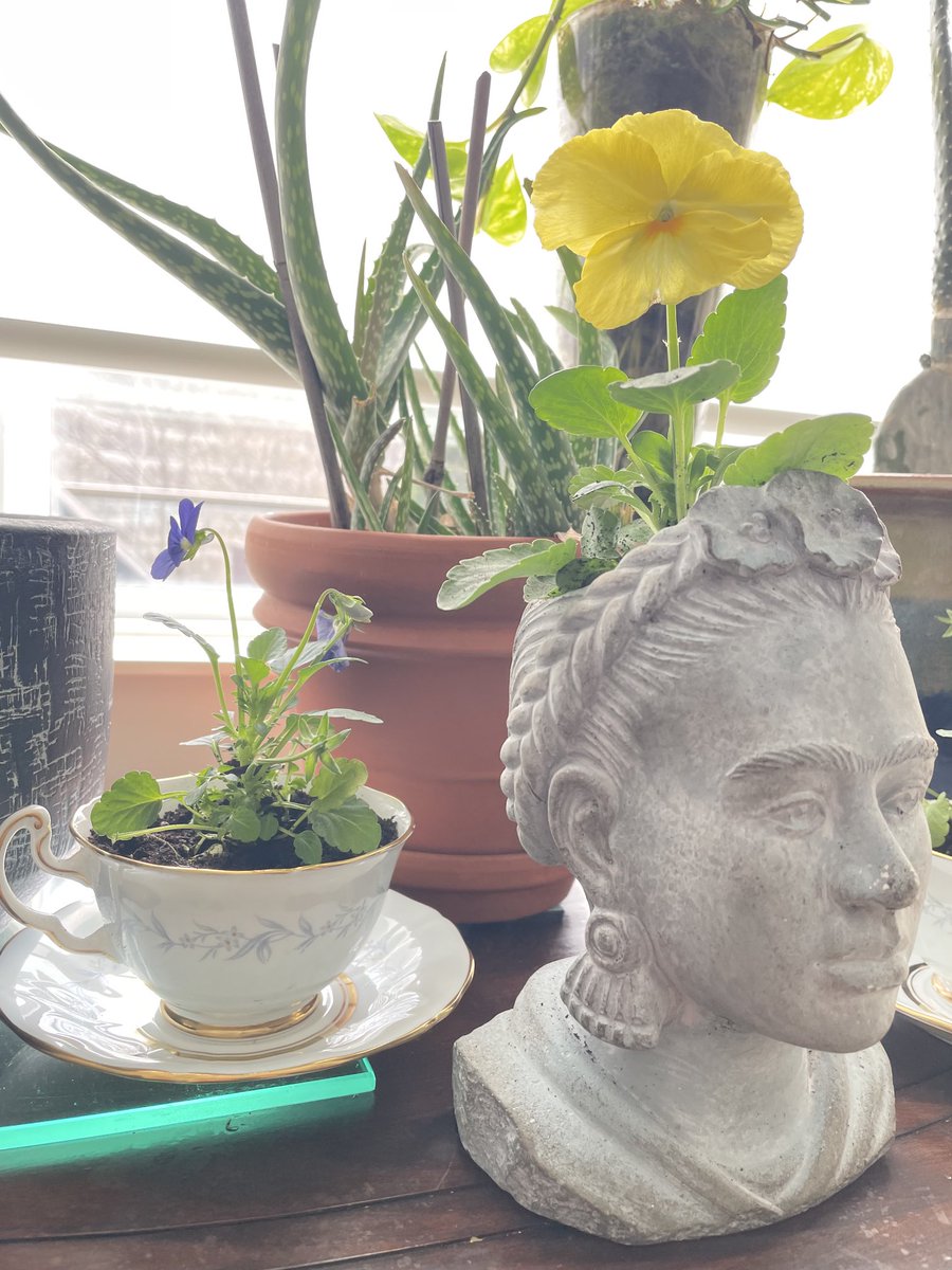 Renata Lumsden tweet media