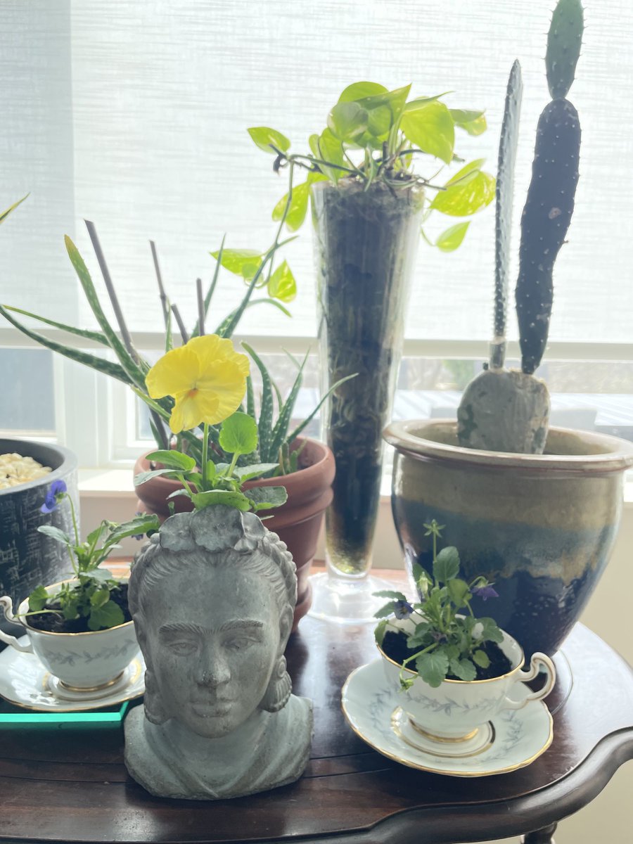 Renata Lumsden tweet media