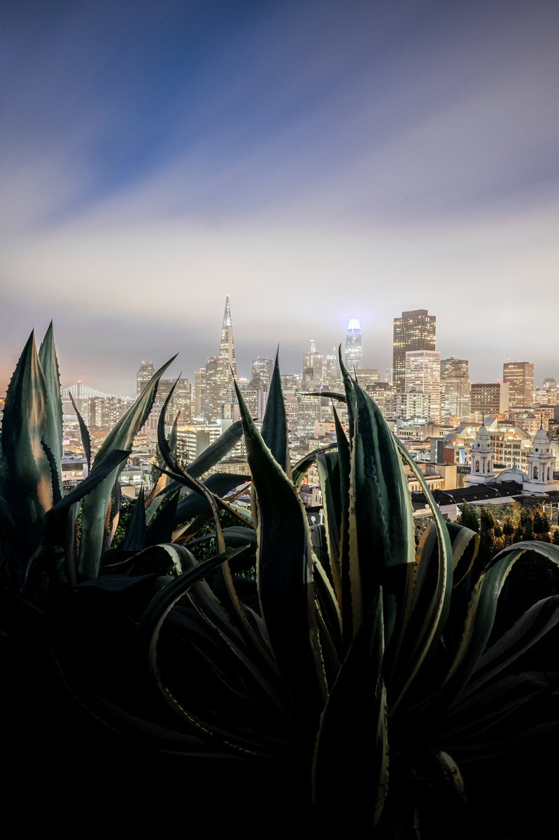 mattfraser_9's tweet photo. Happy #415Day, San Francisco. https://t.co/A7jmzMLOBi