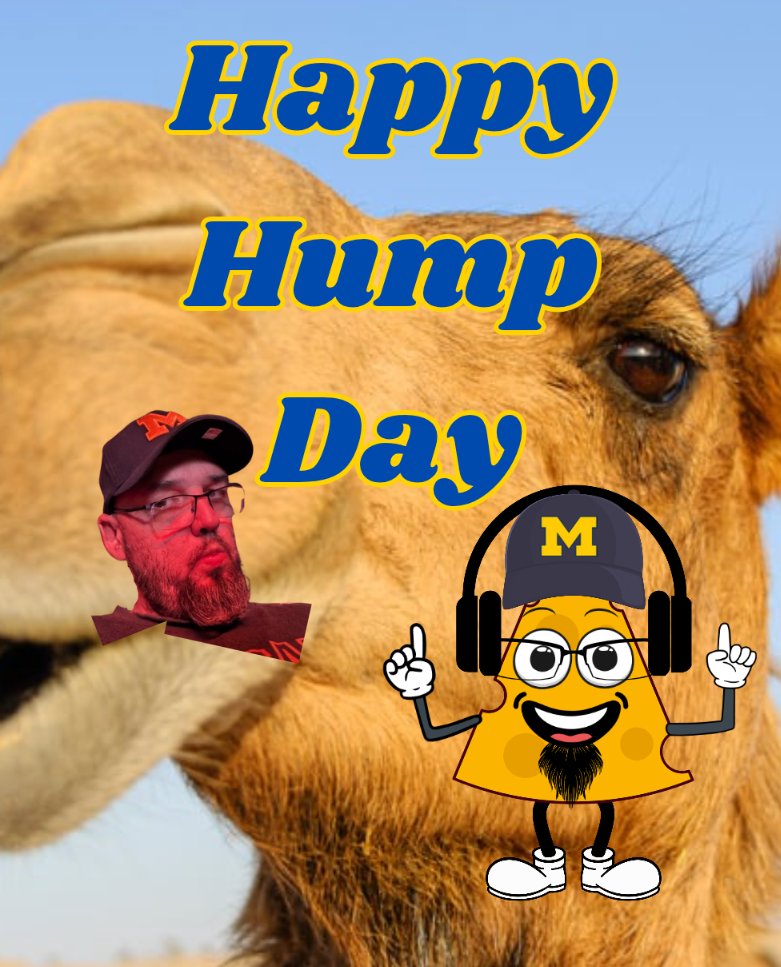 ilikecheese3434's tweet image. Happy hump day 🐪 🐪 😁 
Hope everyone has a great day 😊🙏 
4 days til my birthday 🎂 
28 days til Vegas again to see @blakeshelton woohoo 🎉🙌 
#saycheese