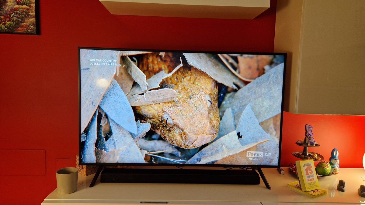 smilingPamPam's tweet image. Guagliù mi sto Babbizzando: guardo i documentari naturalistici e commento le situazioni predatorie del tipo "'o to'(topo), si proprij strunz, ben ti sta!😏" 🤣🤣🤣
Per la serie "#Babbo docet!😅"
#Focus