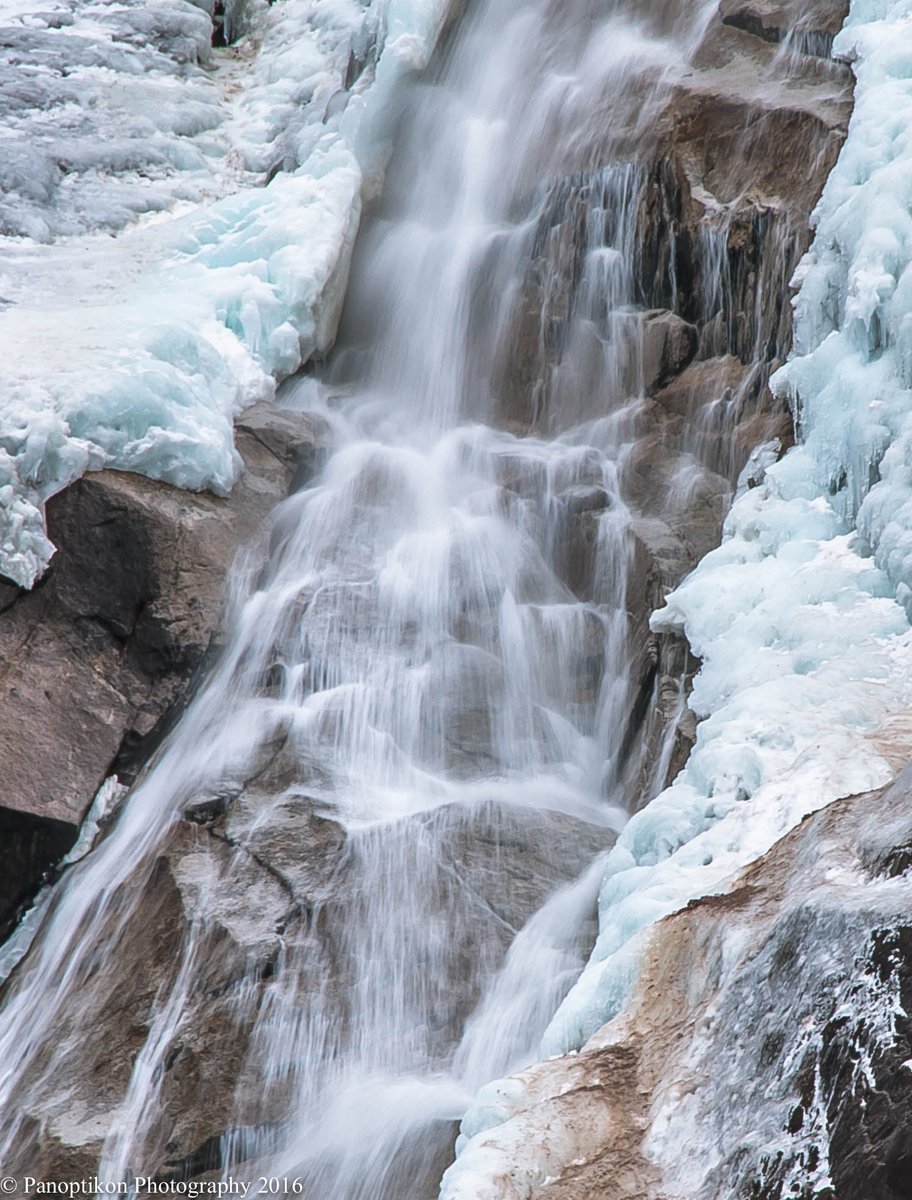 Panoptikon Photography tweet media