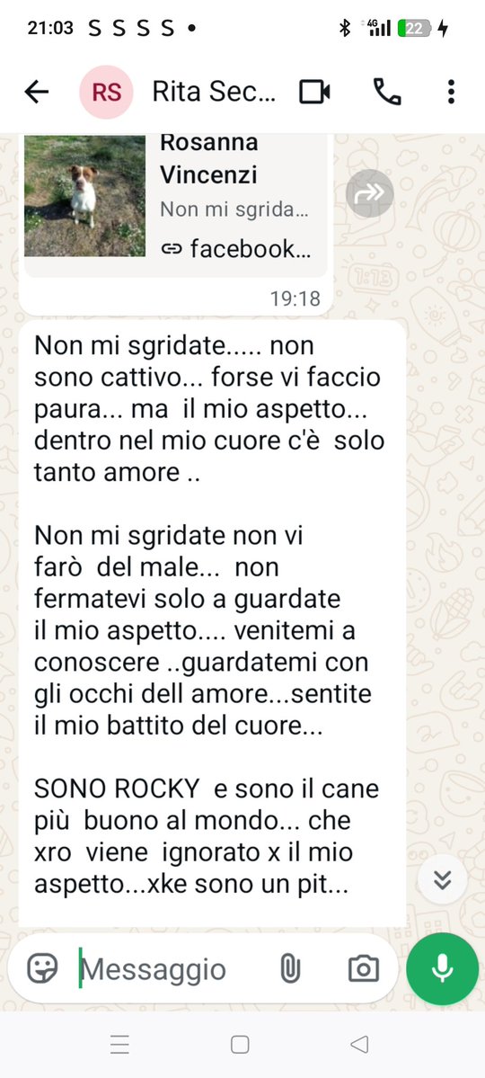 Emilystellaemi2 tweet media