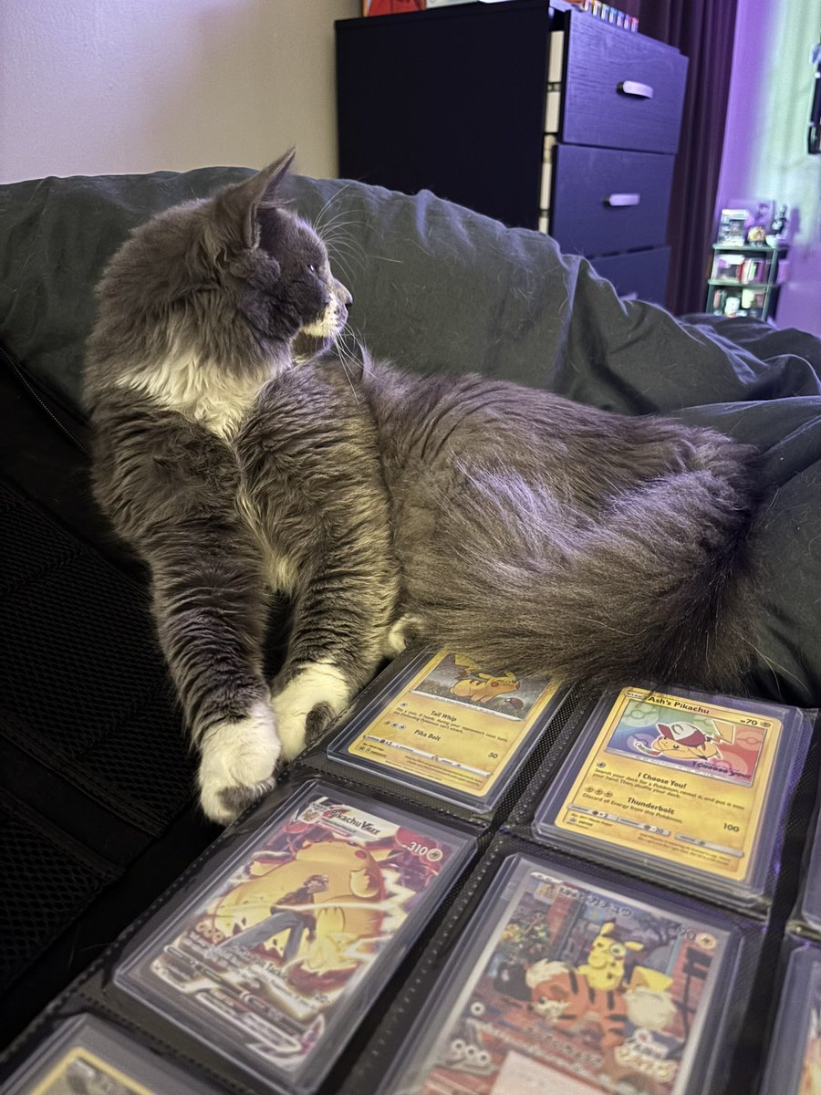 JenLethal tweet media