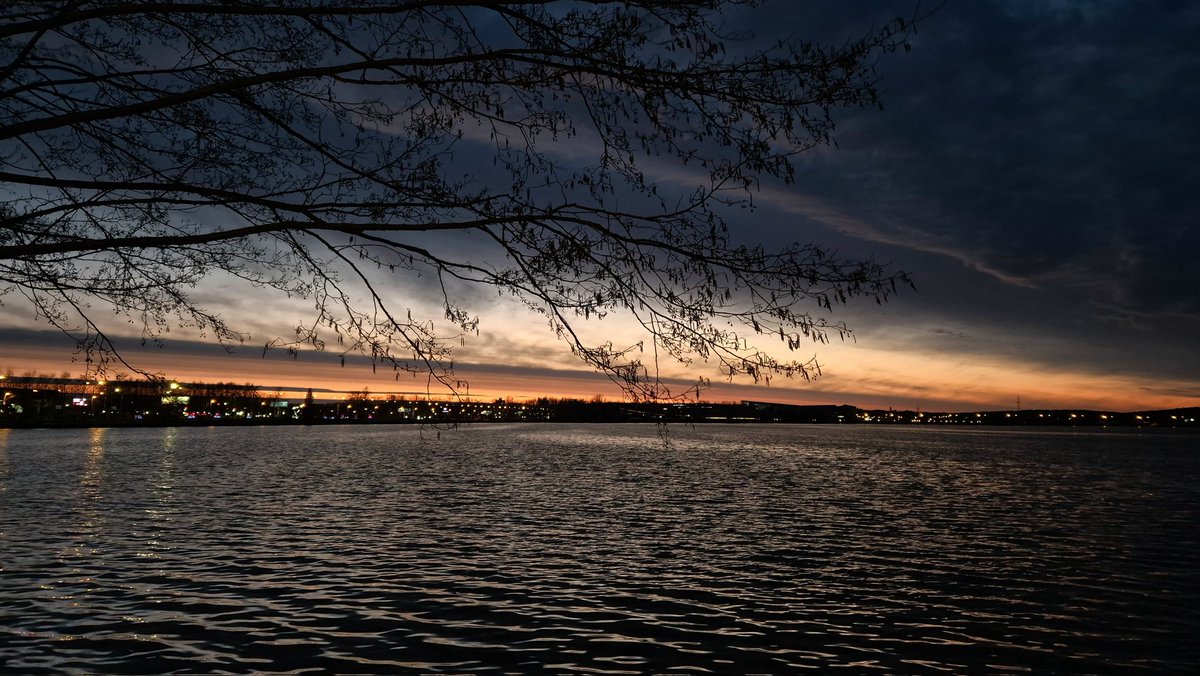 Svetlana Isayonak tweet media