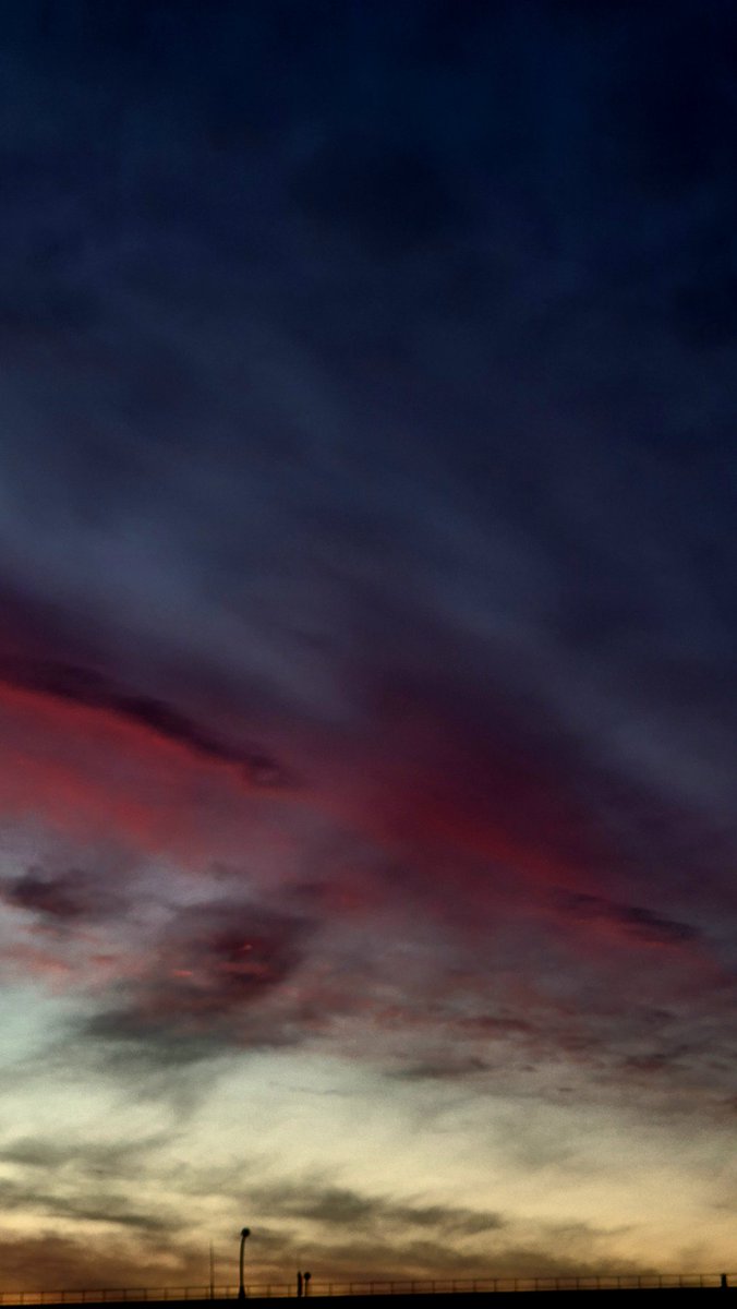 Svetlana Isayonak tweet media