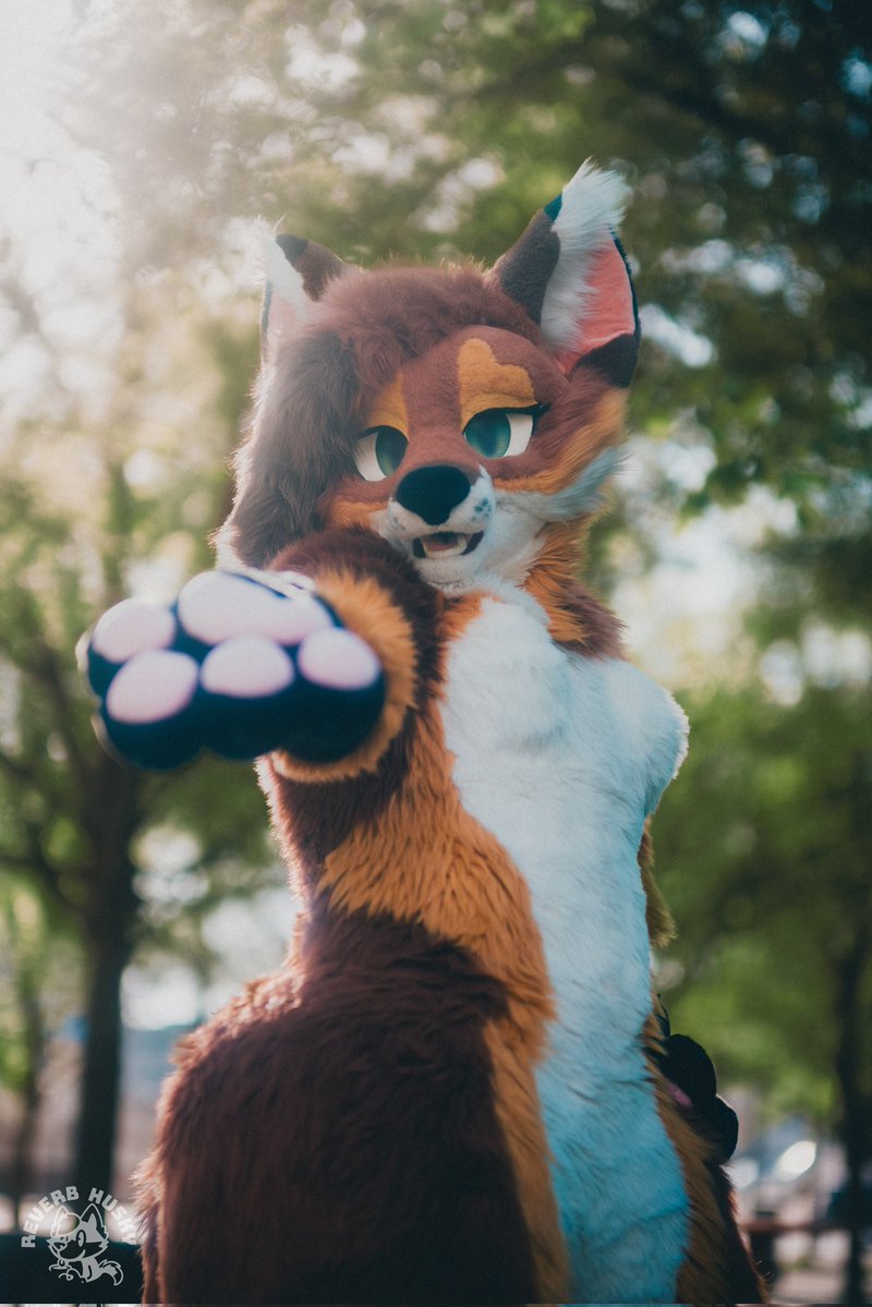 Foxycfreezy tweet media