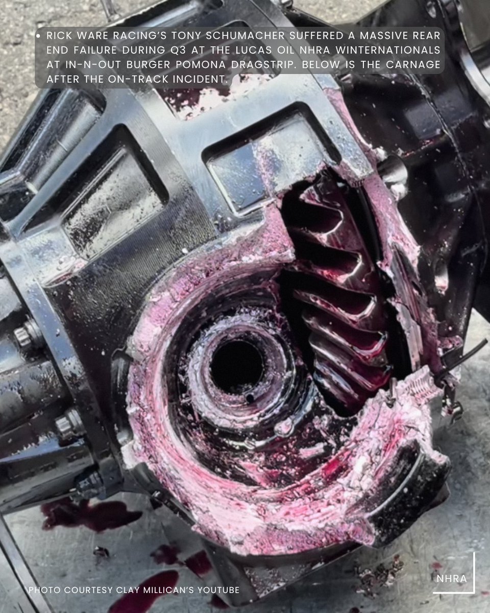 Kayla Zadel tweet media