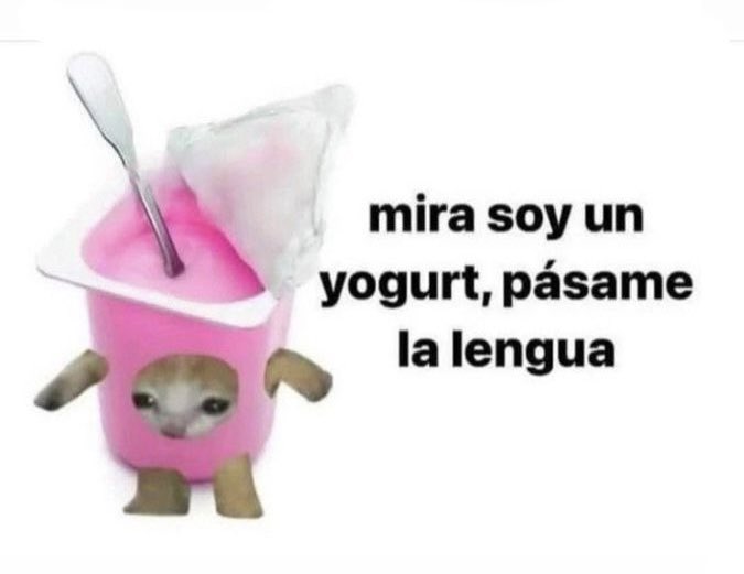 didi 💕 tweet media