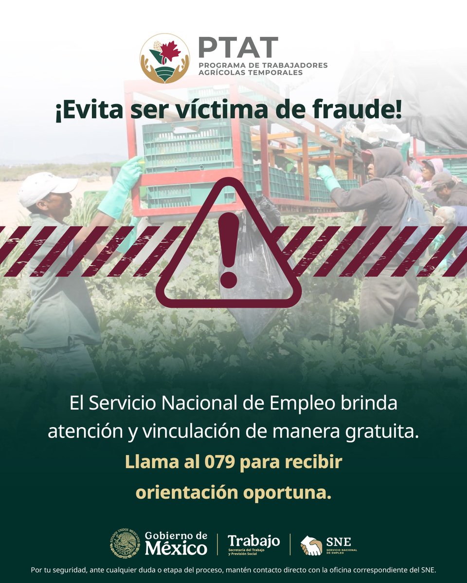 Servicio Nacional de Empleo tweet media