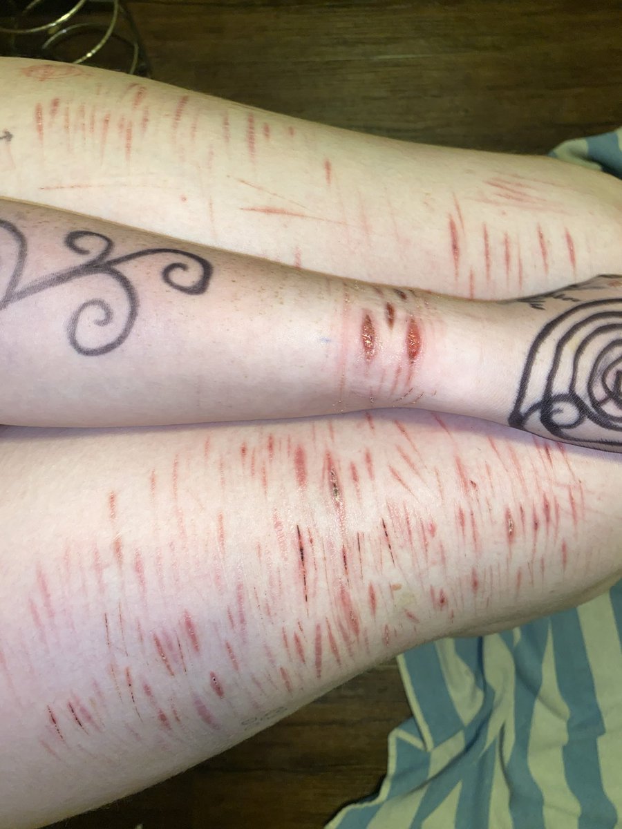 Mintuna of shedtwt tweet media