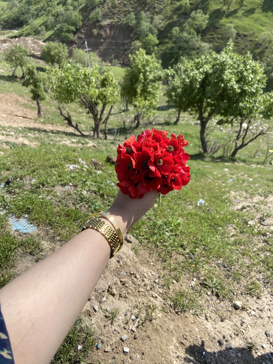 نُ tweet media