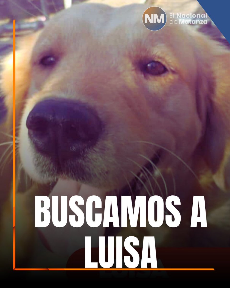 El Nacional de Matanza tweet media