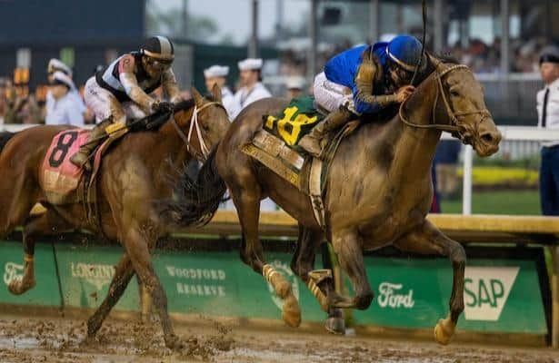 Horse Racing Nation tweet media