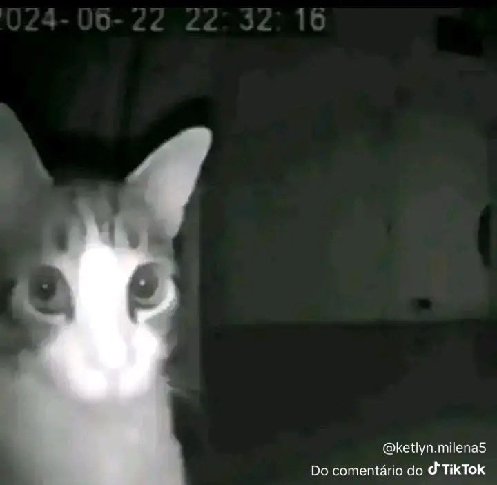 desconhecido_20 tweet media