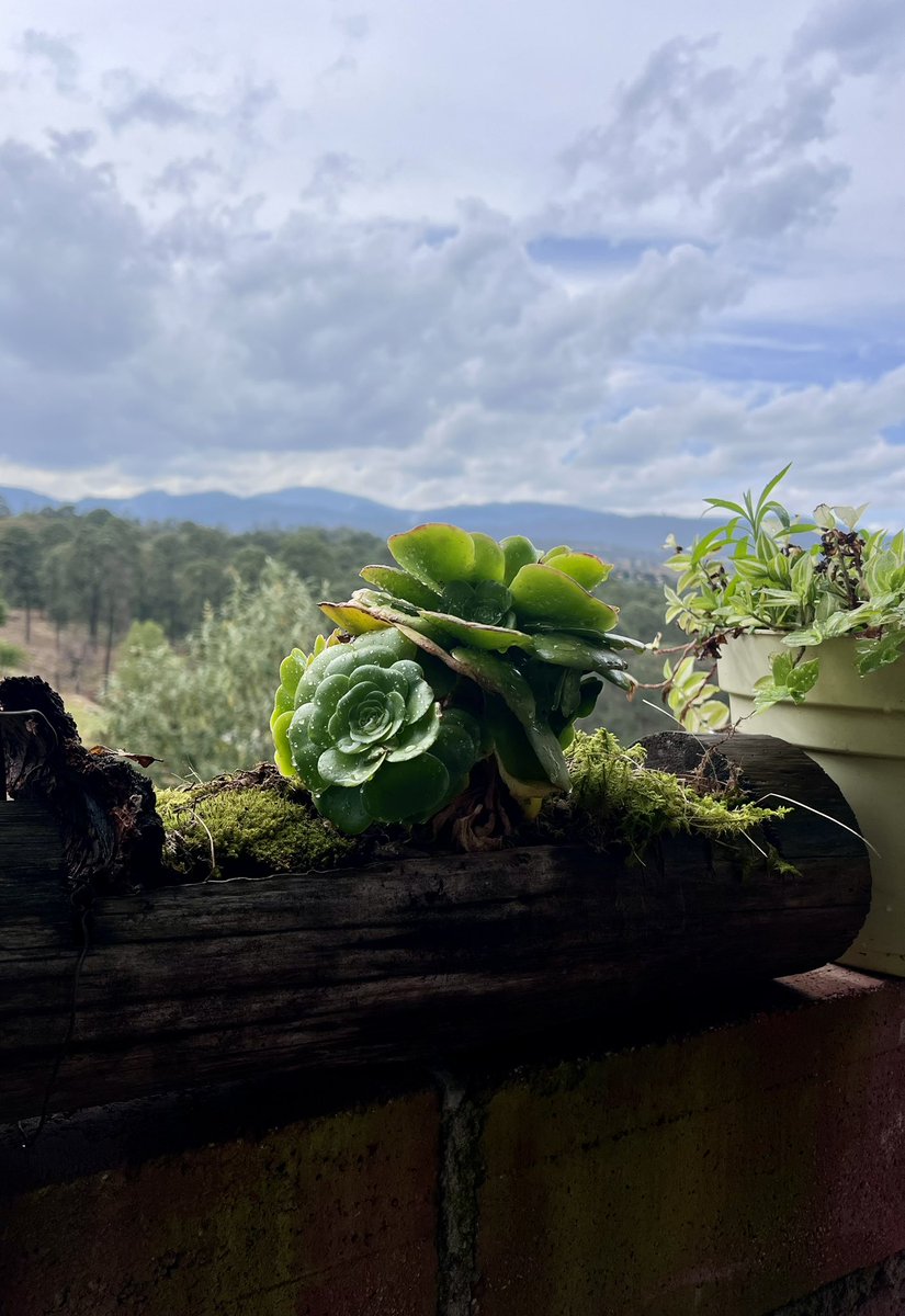 Edgar David tweet media