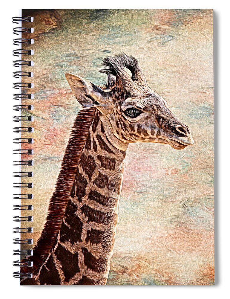 JudyVincent74's tweet image. Baby #Giraffe #notebook #journal #goals #dailythoughts #poems Also available as #wallart and on other products #animals #wildlife #giftideas #BuyIntoArt #JudyVincentPhotography 
See all products here ---&amp;gt; buff.ly/49zzcIf