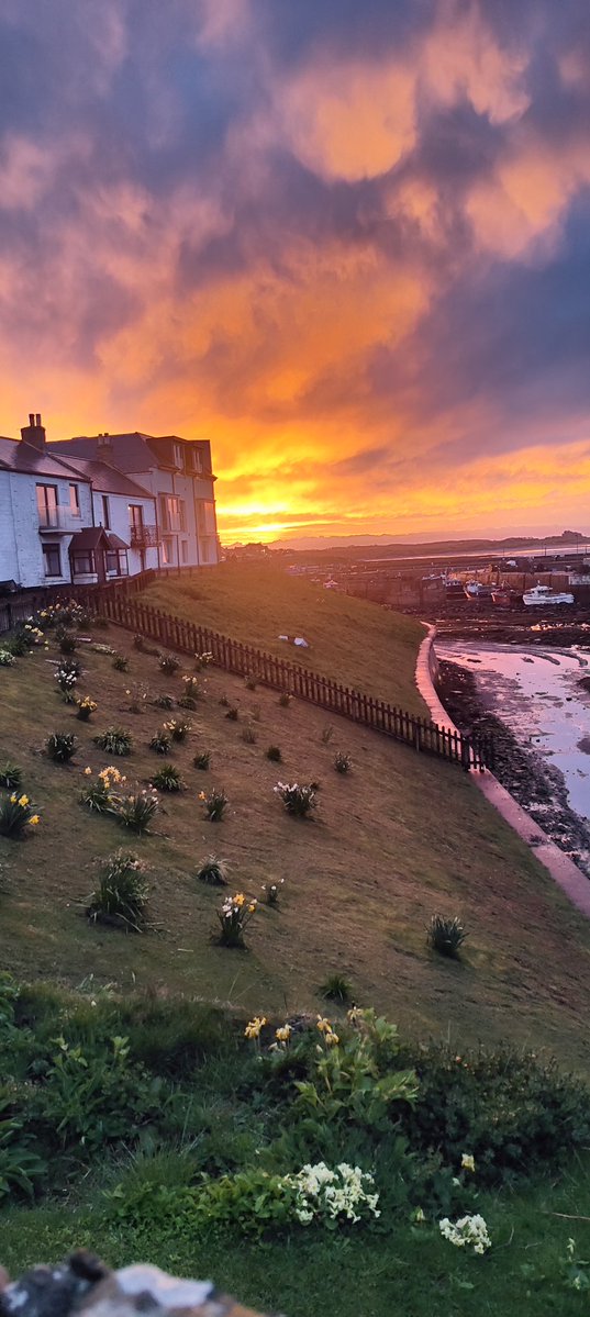 Alan_C_1's tweet image. Tonight's #sunset here at 
#Seahouses
@NorthEastTweets