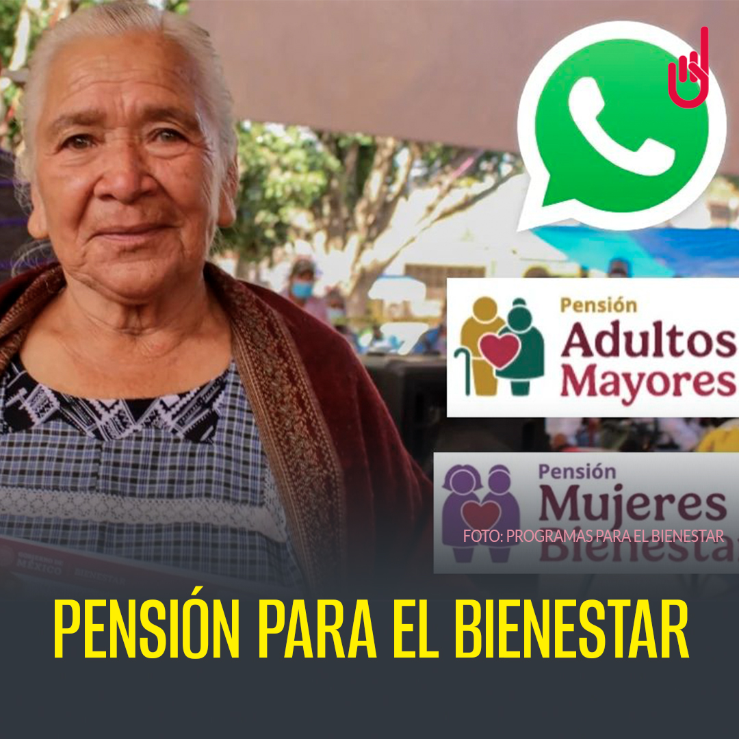 SinEmbargoMX's tweet image. 1/6 Pensión para el Bienestar: ¿Cómo puedes recibir el calendario de pago en tu WhatsApp?

Te contamos más detalles en el siguiente #hilo 🧵