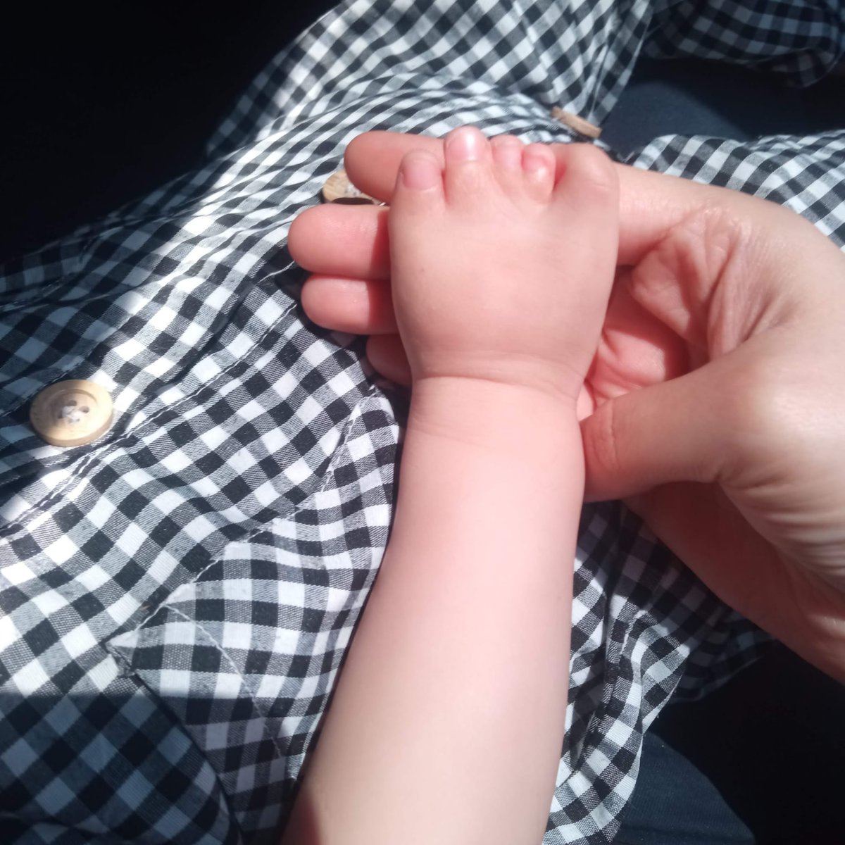 Enes Teker tweet media