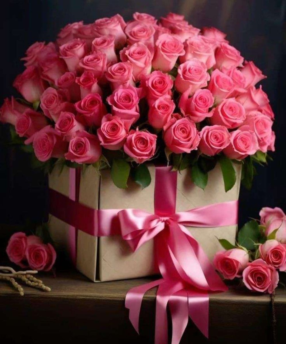 بوح بنت القصيم tweet media