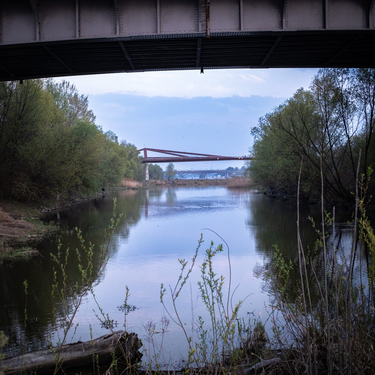 Michał Szułdrzyński🇵🇱 tweet media
