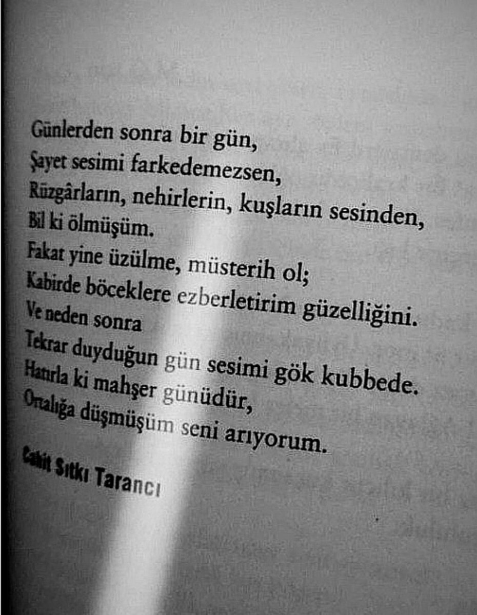 zeynep ede (@edezeynep) on Twitter photo 