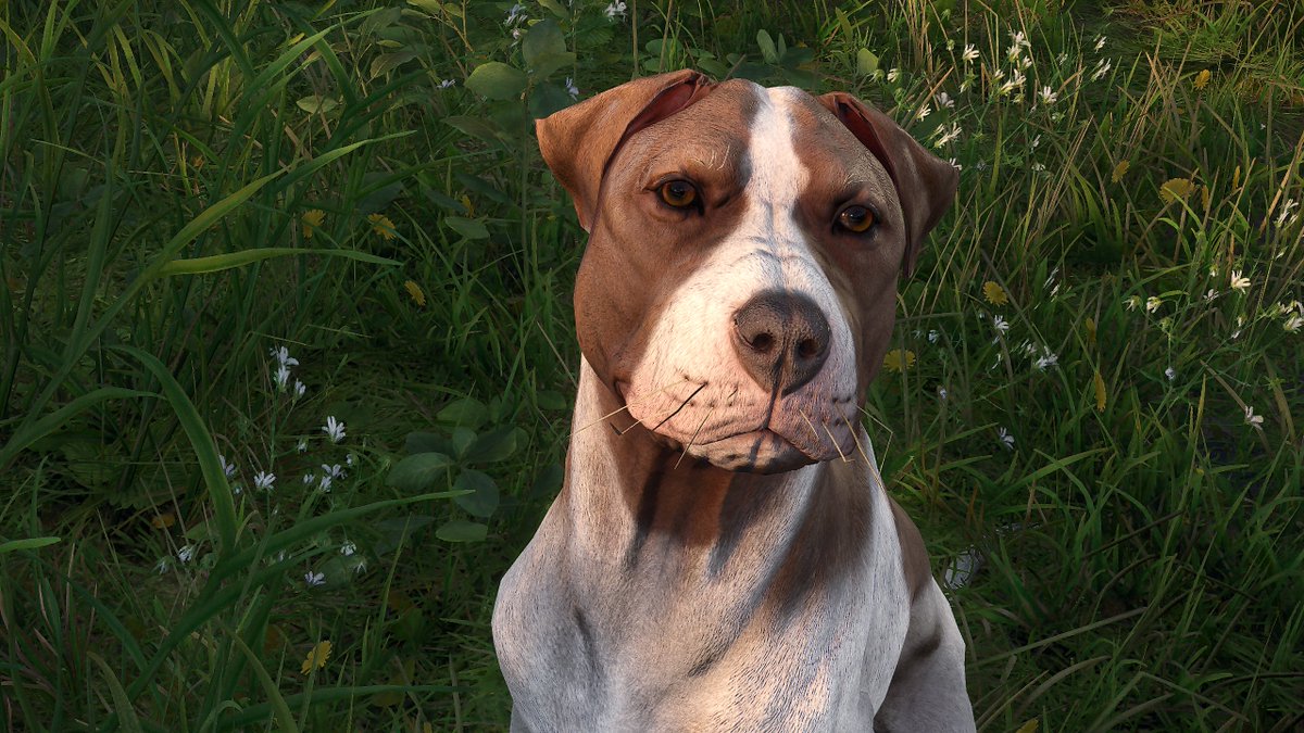 •Гослінг• tweet media