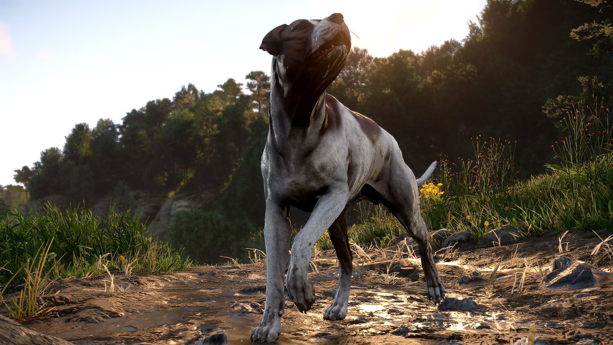 •Гослінг• tweet media