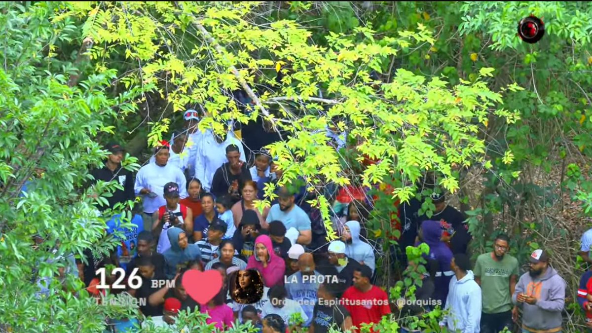 Planeta Alofoke tweet media