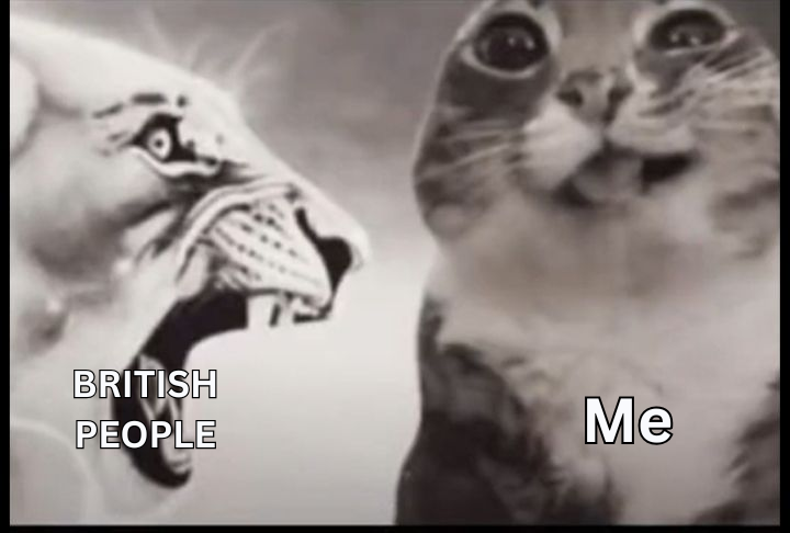 Kittronix 🏎️🩷 / Drifting Cat VTuber tweet media