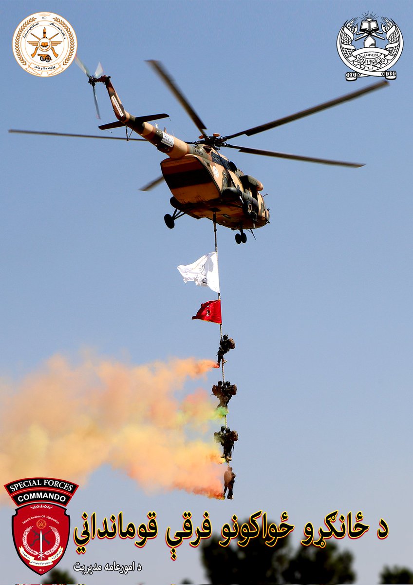 همدرد فـراه وال | Hamdard Farahi tweet media