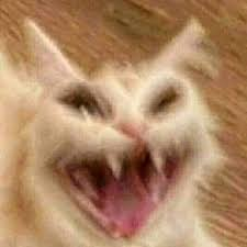 hungryghostmonk's tweet photo. @Useless_Elf When Mrs. Drow pulls out the +1 Whip of Fangs https://t.co/ZGFepNQHvF