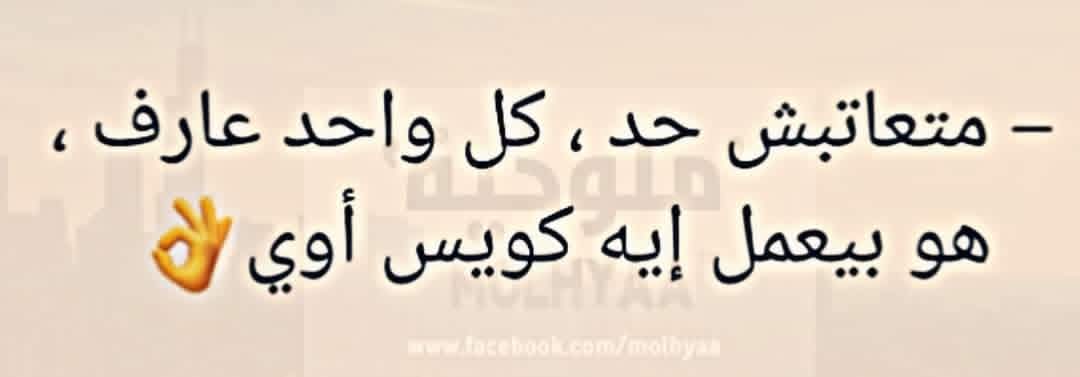 mezoo zezoo tweet media