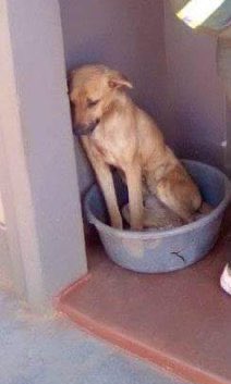 Bhebhi Gewu😍🥺 tweet media