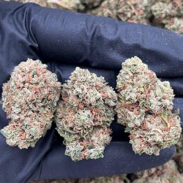 canabisA40's tweet image. #Dublin City weed, #Tallaght weed, #Dún Laoghaire weed, #Blanchardstown weed, #Swords weed, #Clondalkin weed, #Lucan weed, #Castleknock weed, #Dundrum weed, #Blackrock weed, #Rathmines weed, #Ranelagh weed, #Ballymun weed, #Finglas weed, #Howth weed, #Malahide weed