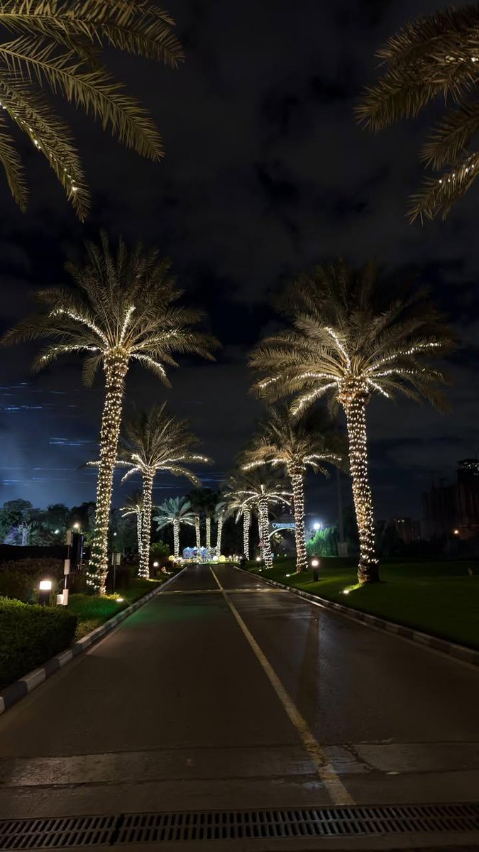 Dubai night 🌃