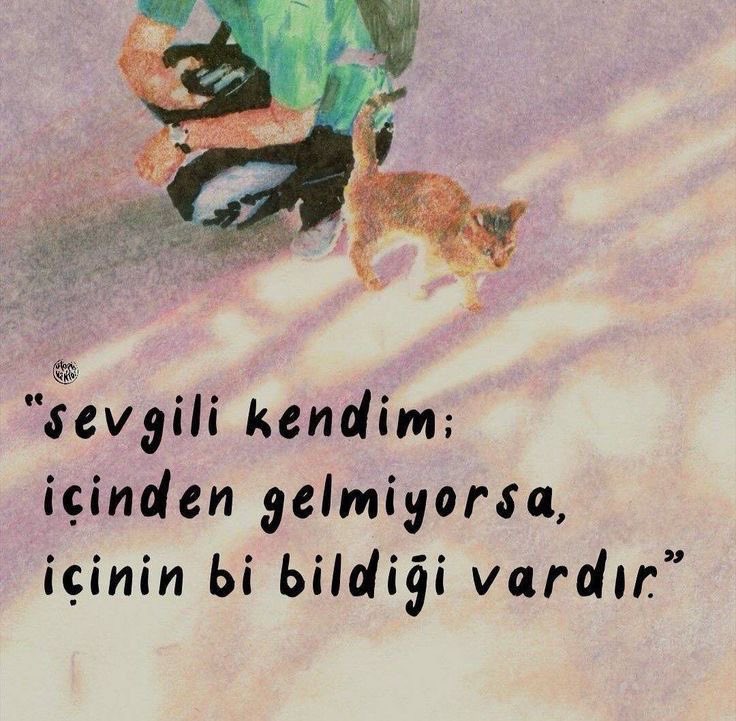 utopivento tweet media