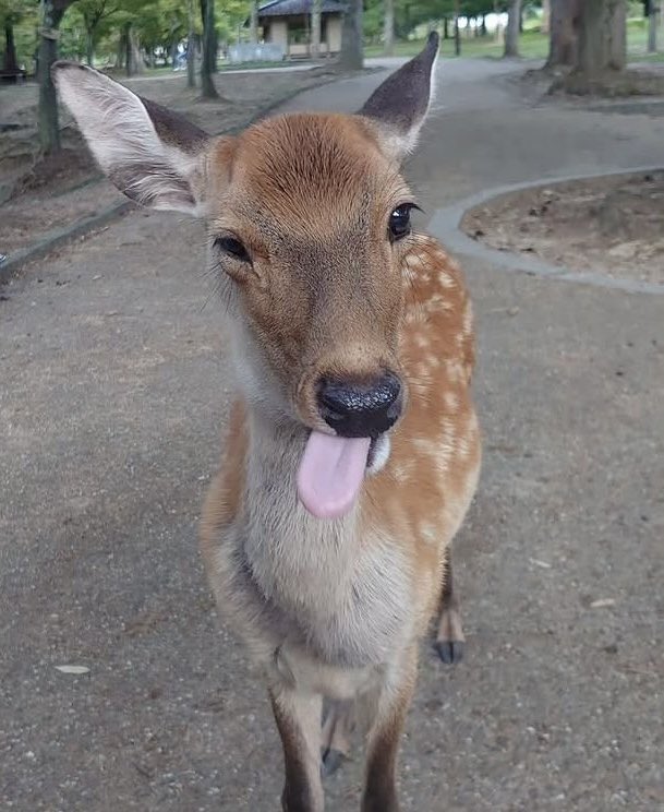 𝒮𝓅𝑜𝑜𝓀𝓎𝒮𝓅𝒾𝒸𝑒🦇🖤 tweet media