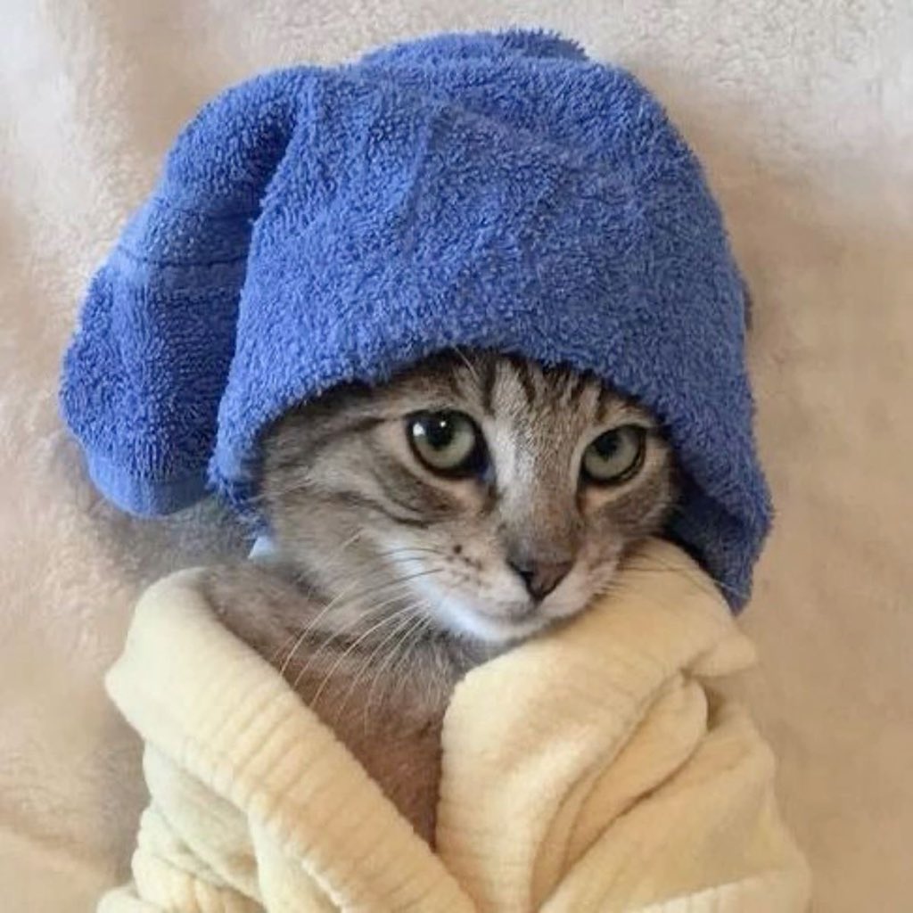 Humayrah. 🦋 tweet media