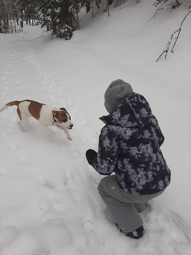 Amanda Dodge tweet media