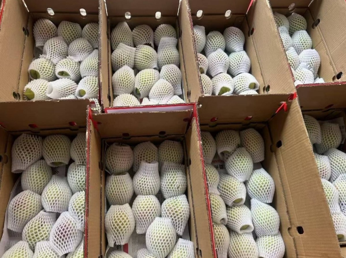 Tahsin Mahfuz tweet media